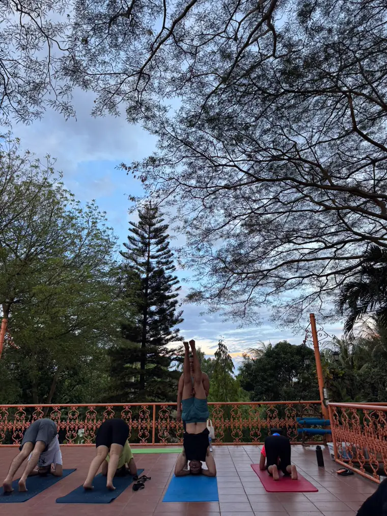Grupo practicando bajo los árboles con el cielo de fondo